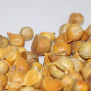 organic mountain garlic placed on a plain white surface