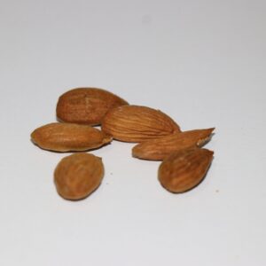 Kashmiri Premium Almonds