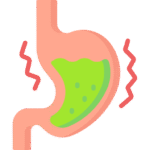 digestive health benefits from kashmirstuff organic figgs