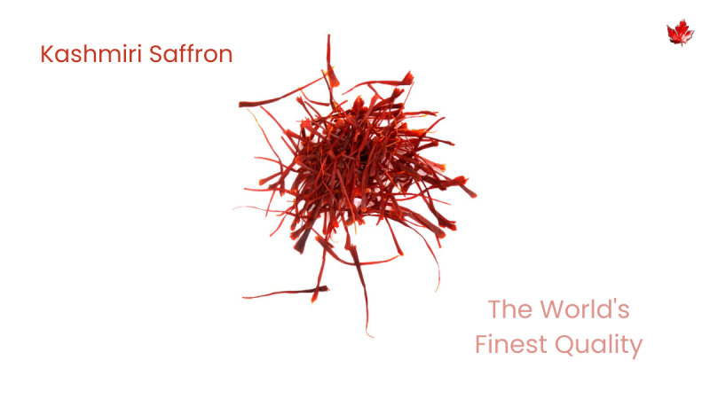 kashmiri premium mongra saffron strands with white background